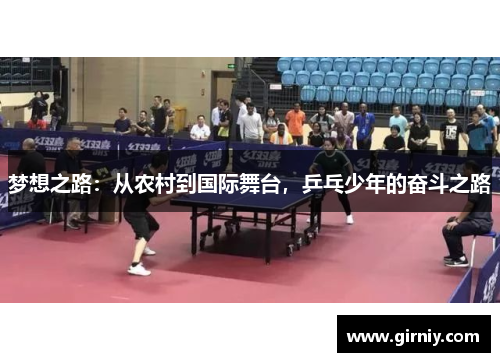梦想之路：从农村到国际舞台，乒乓少年的奋斗之路